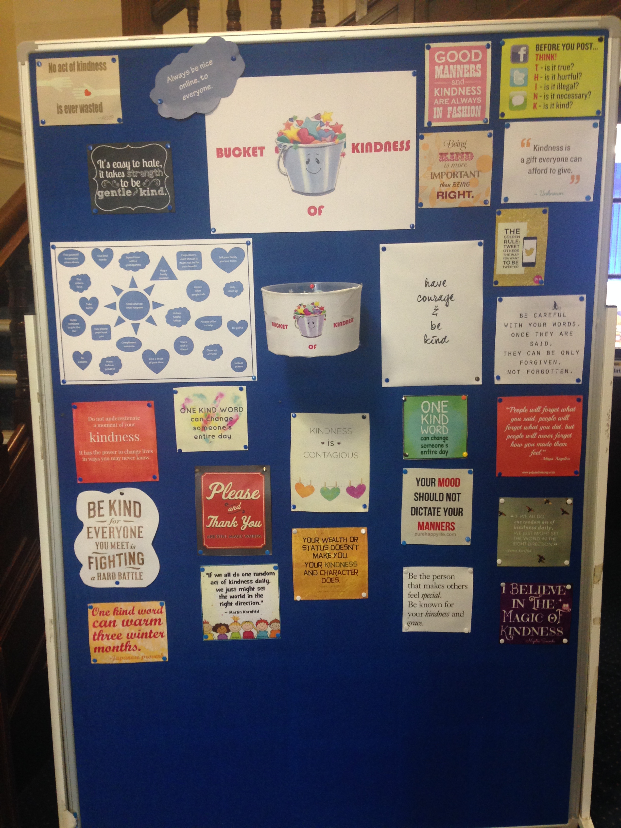 St. Margaret's School for Girls Aberdeen Buckets of Kindness