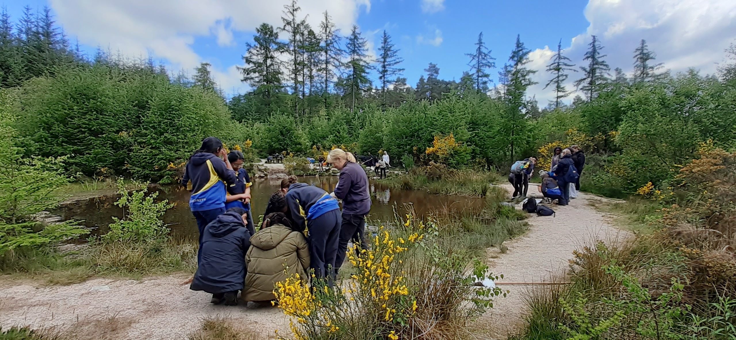 STEM in the wild: pupils take science outdoors