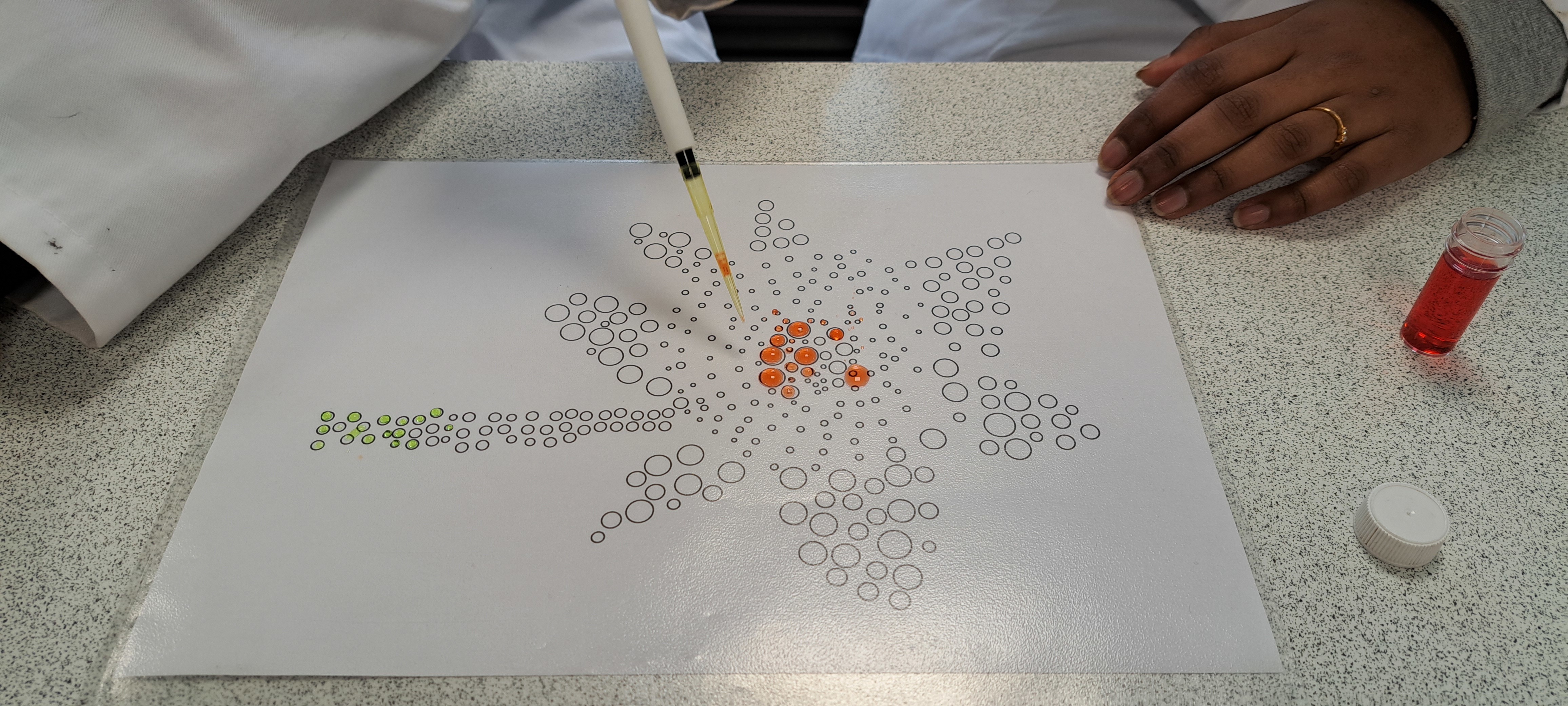 Blooming Brilliant: Pupils spring into action with Daffodil Project update
